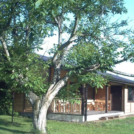 Pod Orzechem Villa ซาน็อค ภายนอก รูปภาพ
